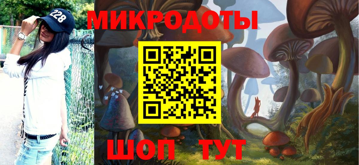 Псилоцибиновые грибы мицелий Сафоново