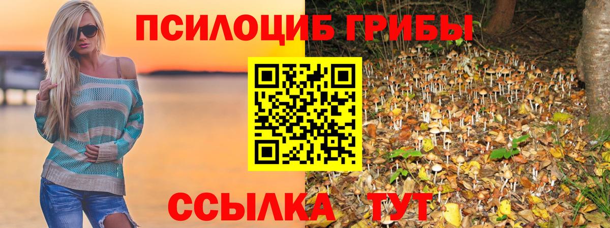 Сафоново  Псилоцибиновые грибы мухоморы  Вход с VPN  Псилоцибиновые грибы MAGIC MUSHROOMS 